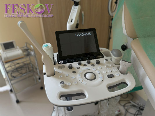 Differenze mediche e legali tra maternità surrogata gestazionale e tradizionale