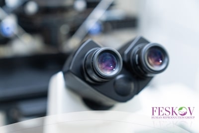 una madre surrogata trasmette il DNA