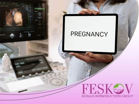 Quanti follicoli ovarici e antrali bisogna avere per la fertilità?