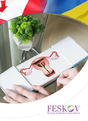 Maternità surrogata in Georgia e Ucraina: quali sono le condizioni migliori?