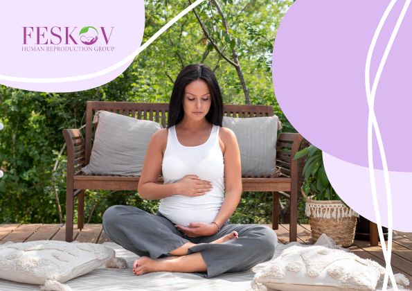 Quale stato ha la maternità surrogata più economica? - 2