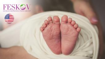 rewiews H****** e P********