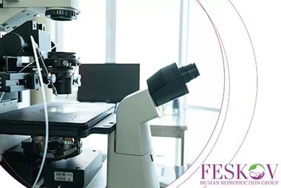 svantaggi della donazione di ovuli