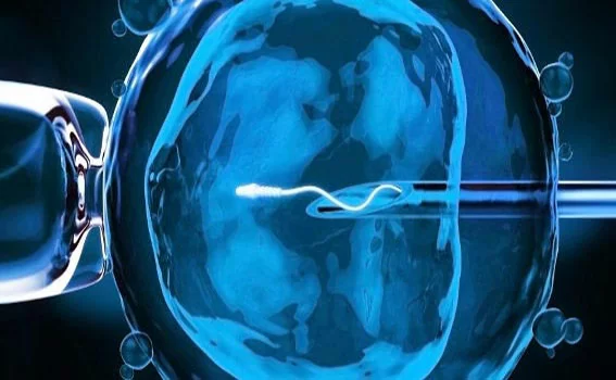 Notizie dal mondo sulla tecnologia di riproduzione assistita immagine