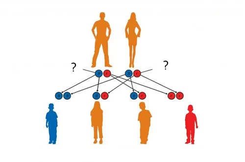 hanno capacità madre, i figli ereditano intelligenza dalla madre immagine