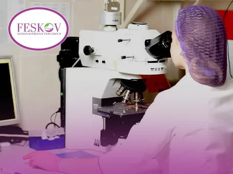 Processo di analisi genetica dell'embrione con il metodo PGD in laboratorio per la selezione di un feto sano e la determinazione del suo sesso.