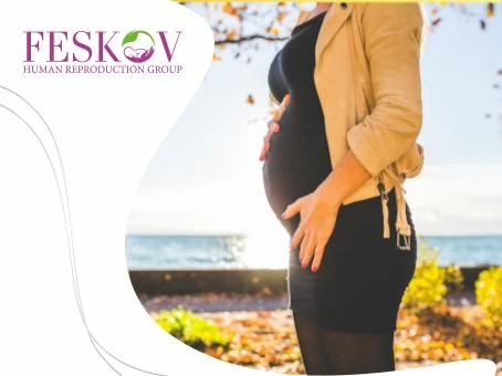 blog: Maternità surrogata in Germania: Legislazione e costi immagine