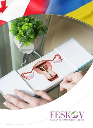 Maternit&agrave; surrogata in Georgia e Ucraina: quali sono le condizioni migliori?