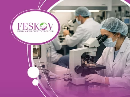 Valutazione degli embrioni: comprendere la valutazione della qualità degli embrioni