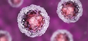 Trattamento con cellule staminali nella FIVET Trattamento con cellule staminali nella FIVET