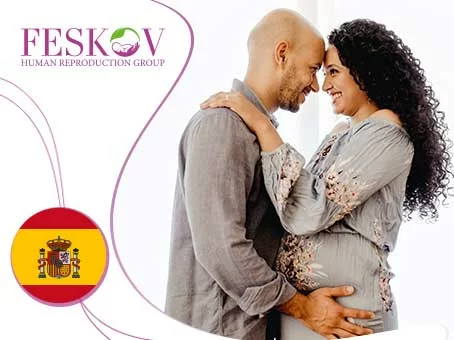 blog: Il costo della FIV con donazione di ovociti in Spagna immagine