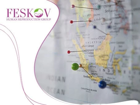 blog: La donazione di ovociti nelle mie vicinanze immagine