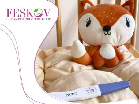 blog: Cosa fare quando non si riesce a rimanere incinta immagine