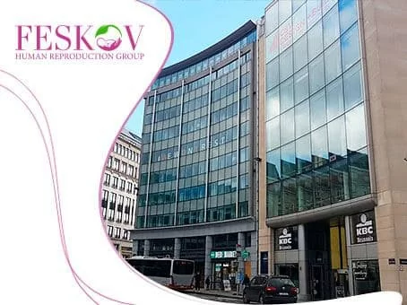 blog: Feskov Human Reproduction Group è ora a Bruxelles! immagine
