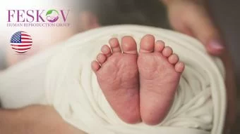 recensioni H****** e P********